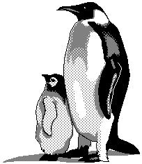penguin 4
