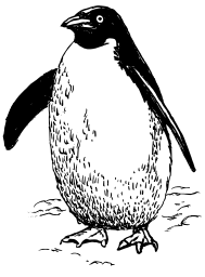 penguin fat