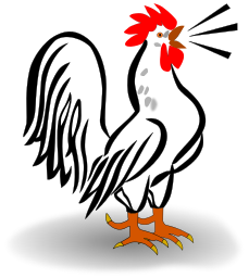 rooster crowing 2