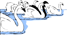Swans-clip-art