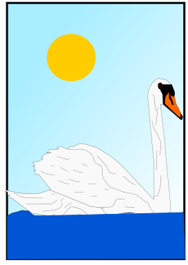 swan floating