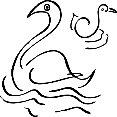 swans sketch