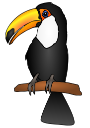 toucan 4