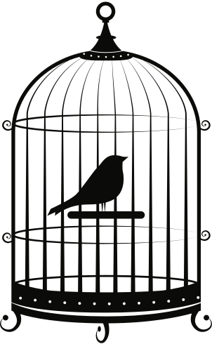 bird-in-cage