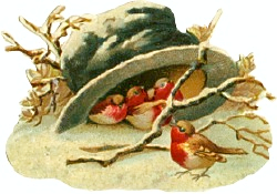 birds-top-hat