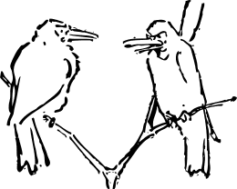 birds talking
