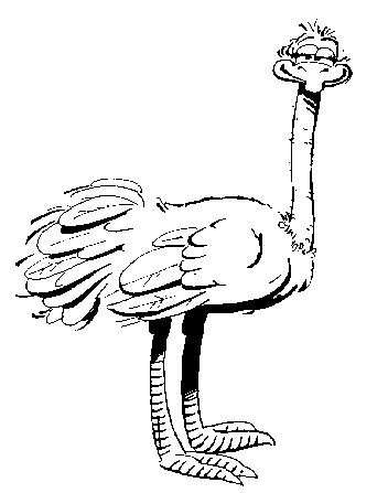 ostrich fun