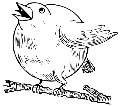 rotund singing robin