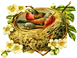 three-birds-nest-leaves