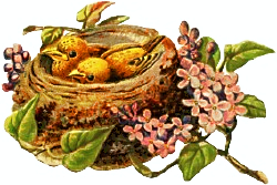 two-yellow-nest