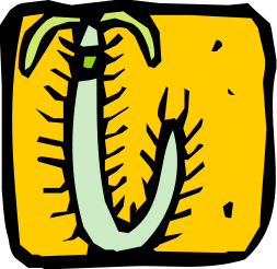 centipede clip art