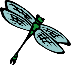 dragonfly graphic