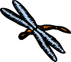 dragonfly graphic 2