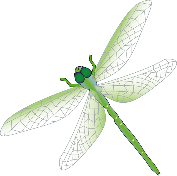 dragonfly green 2
