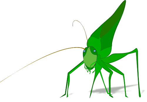 grasshopper green cool w shadow