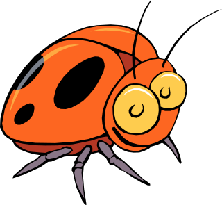 happy ladybug