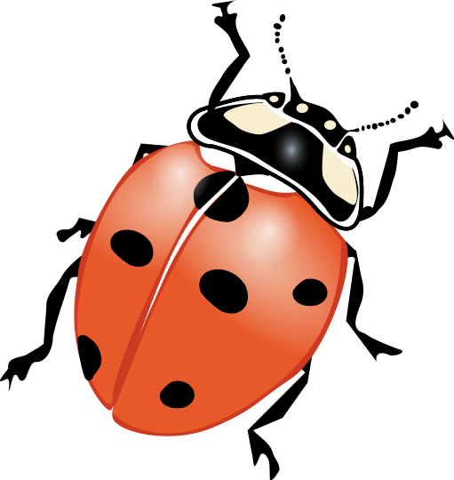 ladybug big