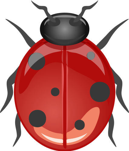 ladybug glossy dark red