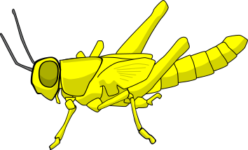 locust yellow