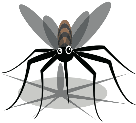 mosquito-w-shadow