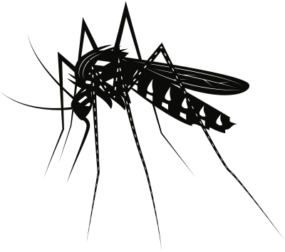 mosquito 3