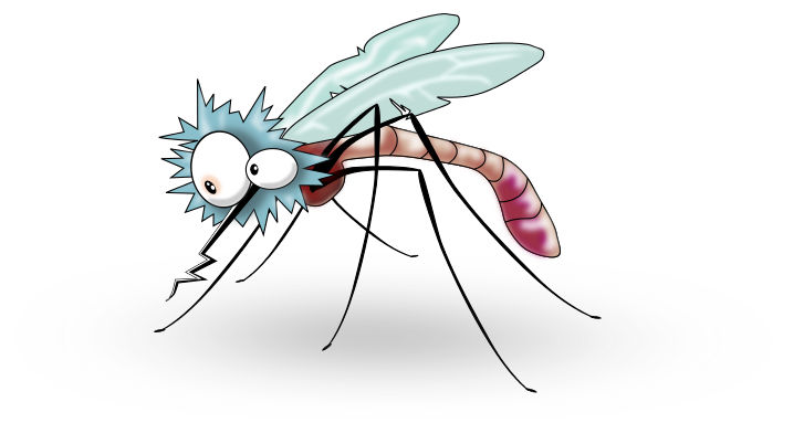 mosquito cartoon 3