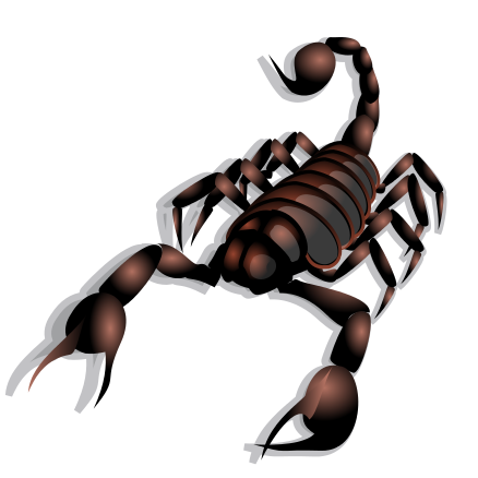 scorpion art