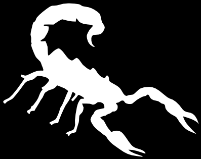 scorpion inverted