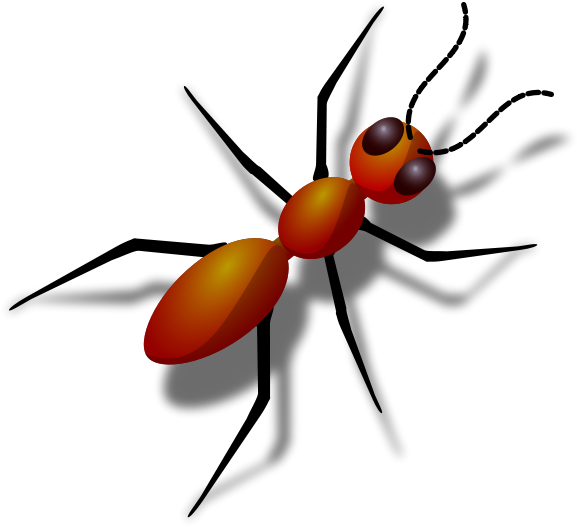 ant reddish