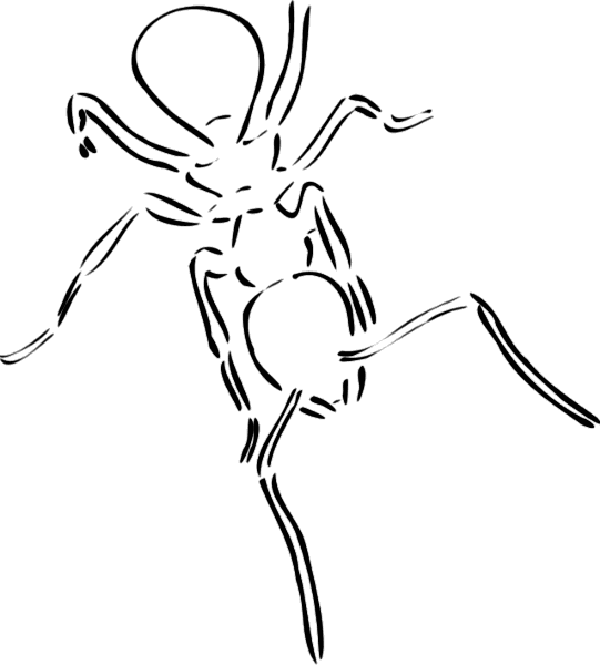 ant sketch