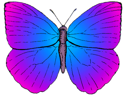 Butterfly blue to pink