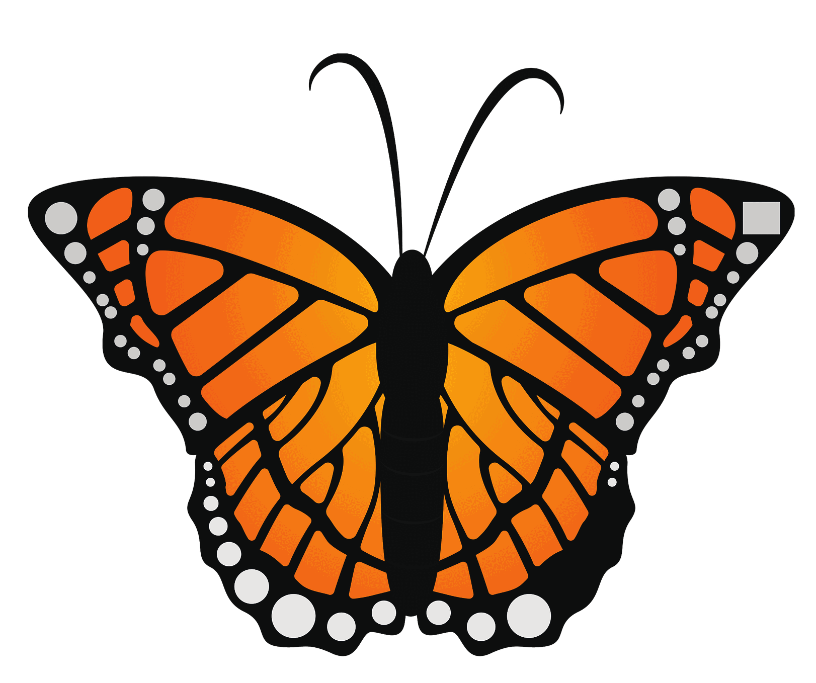 monarch-stylized-2