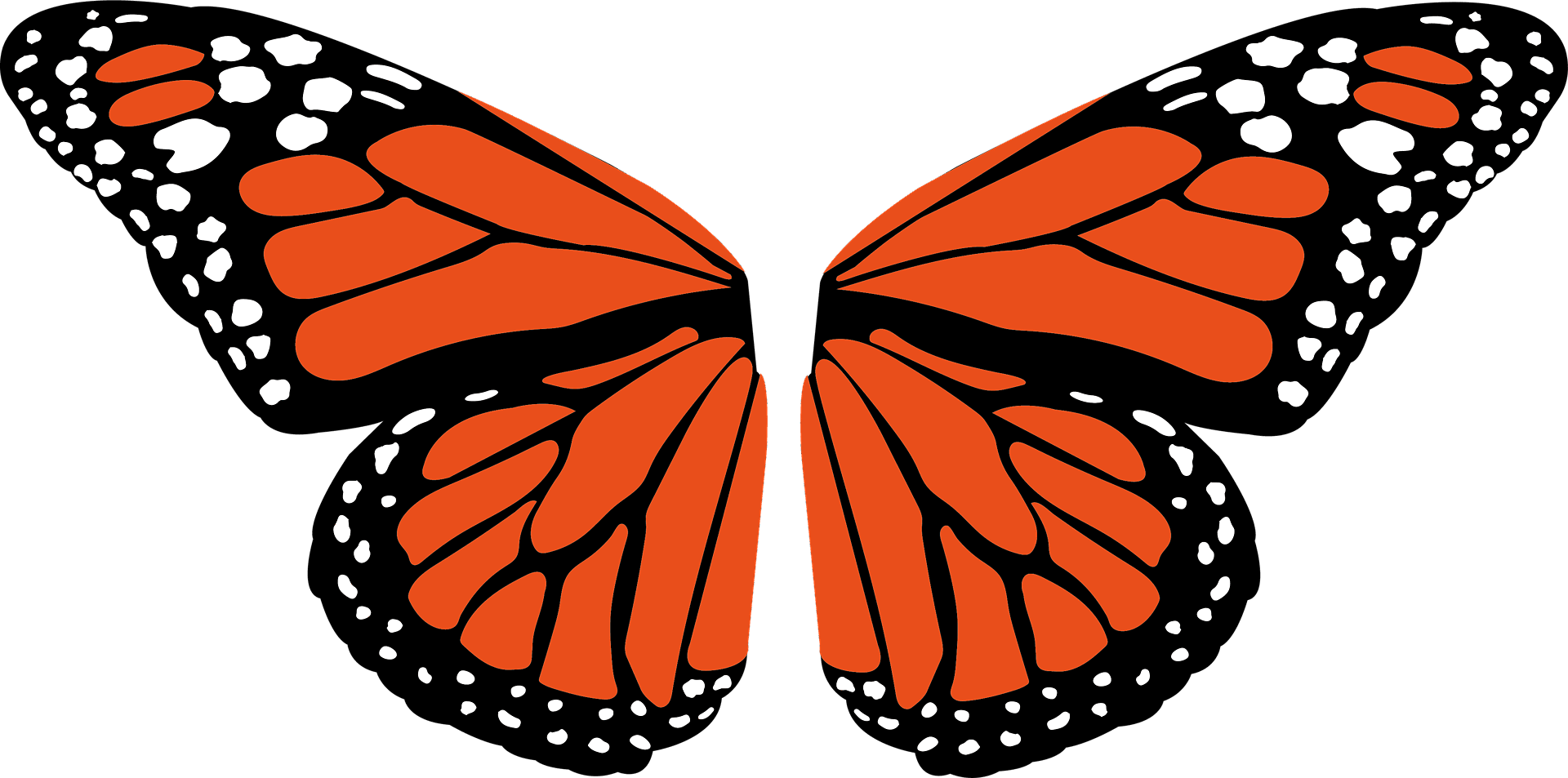 monarch-wings