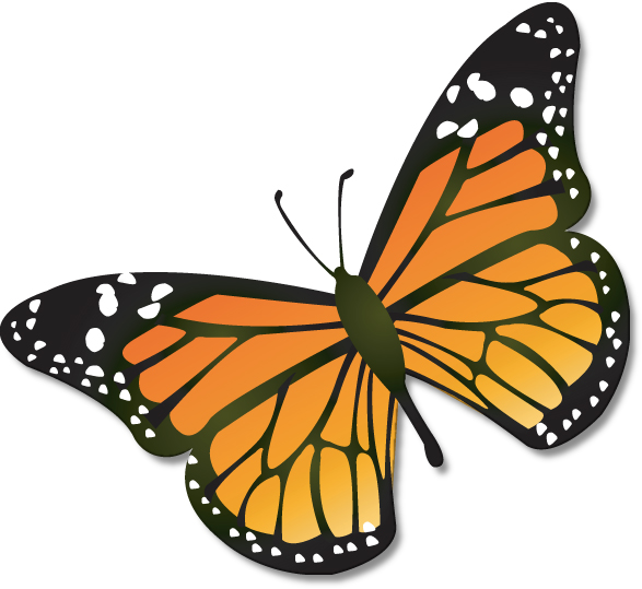Monarch butterfly USGS
