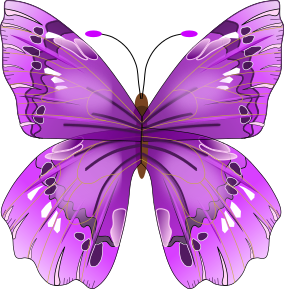 butterfly purple