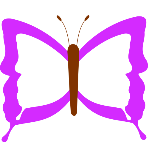 purple butterfly 1