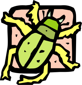 clipart beetle 1