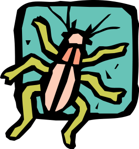 clipart beetle 2