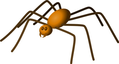 large brown spider