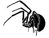 spider 3