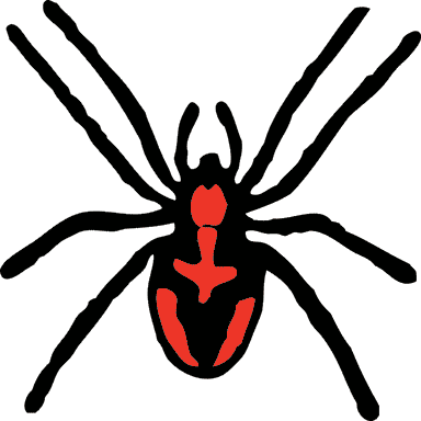 spider black red spots