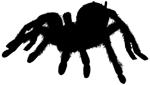 tarantula-silhouette