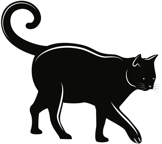 black-cat-walking