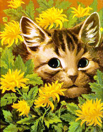 Cat in the Flowerbed