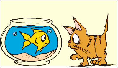 cat eyeballing goldfish