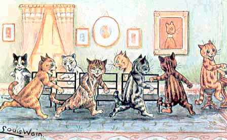cat musical chairs