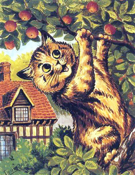 cat picking apples