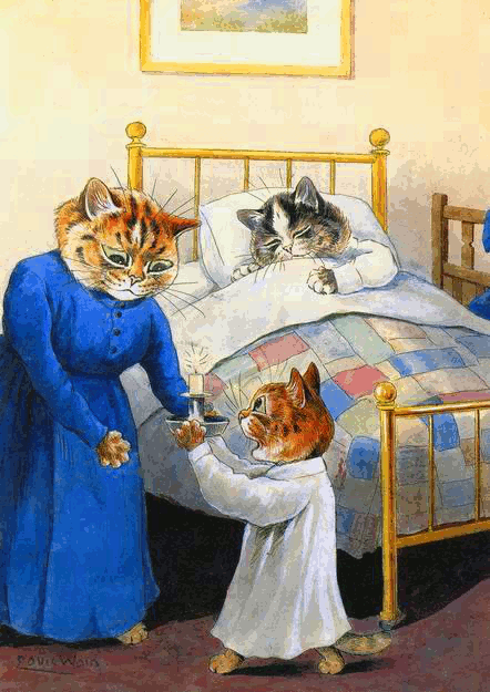 cats bedtime