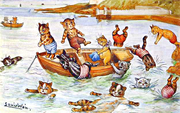 cats boating