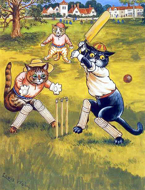 cats playing cricket